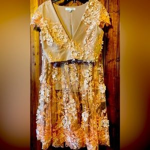 Nude Crop Top and knee length dress combo with peach floral lace overlay